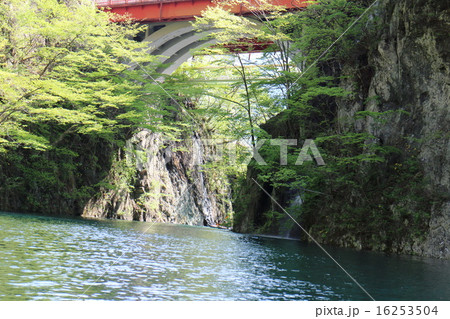 赤谷渓谷 16253504