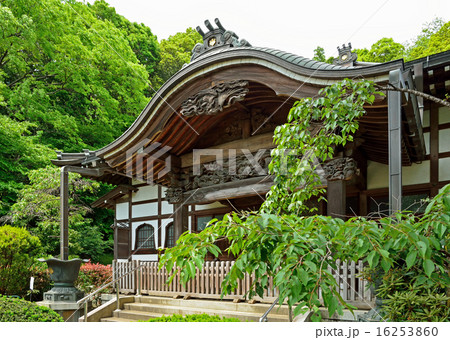 国分寺散歩:武蔵国分寺 本堂 国分寺散歩:武蔵国分寺 本堂 16253860