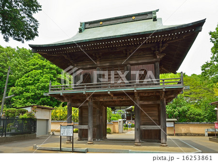 国分寺散歩:国分寺 楼門 国分寺散歩:国分寺 楼門 16253861