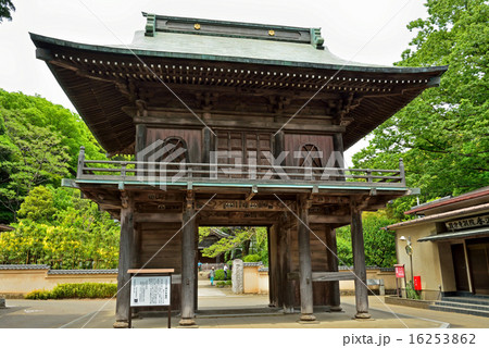 国分寺散歩:国分寺 楼門 国分寺散歩:国分寺 楼門 16253862