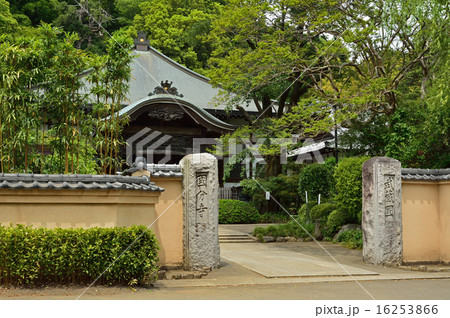 国分寺散歩：武蔵国分寺　本堂 16253866