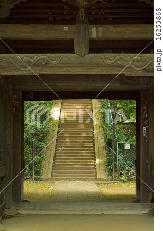 国分寺散歩：国分寺　仁王門 16253868