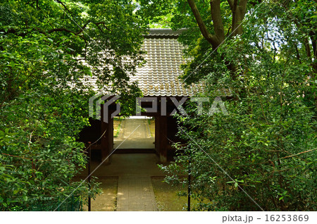 国分寺散歩:国分寺 仁王門 国分寺散歩:国分寺 仁王門 16253869