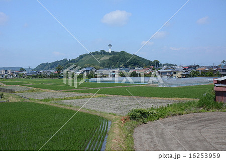 田園 田園 16253959