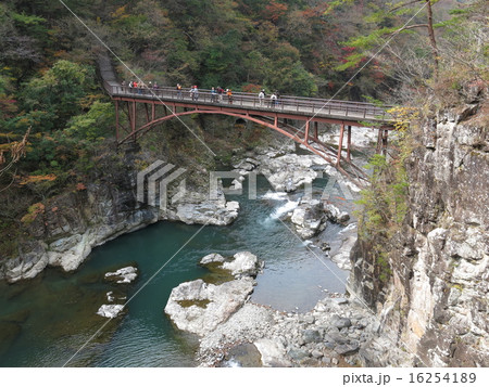 紅葉に彩られた龍王峡の虹見橋 16254189