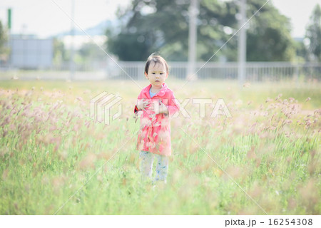 Child walking happily in grass field with pink  16254308
