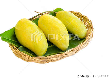 Three big mango fruit on basket, isolated on white 16254344
