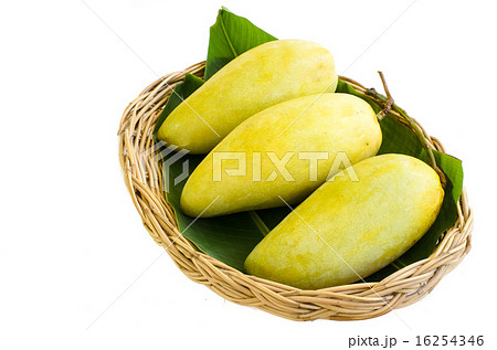 Three big mango fruit on basket, isolated on white 16254346