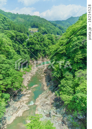 初夏の吾妻川の風景 初夏の吾妻川の風景 16254528