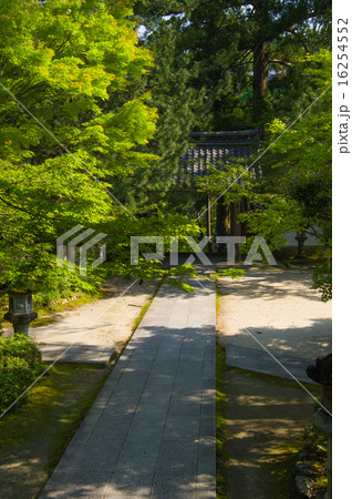 西明寺 16254552