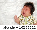 泣いている赤ちゃん 16255222