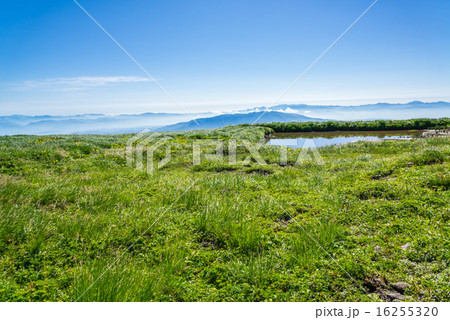 雲上の地塘 雲上の地塘 16255320