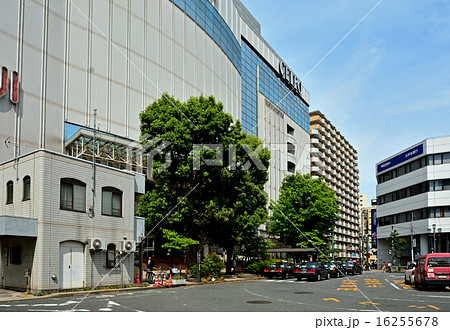 国分寺散歩:国分寺駅南口駅ビル 国分寺散歩:国分寺駅南口駅ビル 16255678