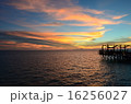 サンセット 16256027