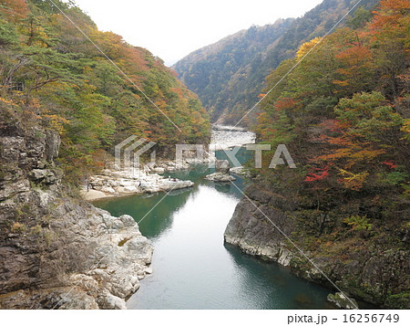 虹見橋から見た紅葉の龍王峡の写真素材