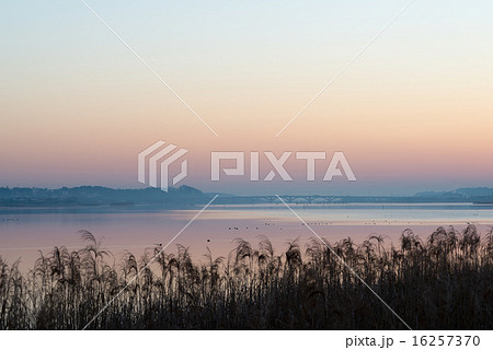 手賀沼の夜明け 16257370