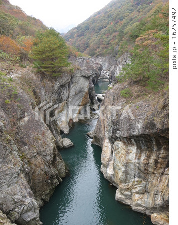 むささび橋から見た紅葉の龍王峡(青龍峡) むささび橋から見た紅葉の龍王峡(青龍峡) 16257492