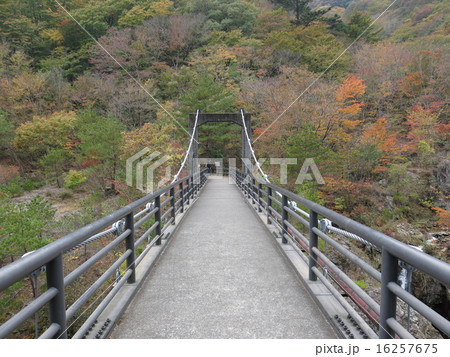 紅葉に彩られた龍王峡のむささび橋の写真素材