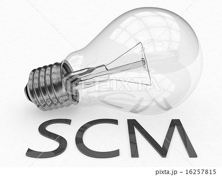 Supply Chain Management Supply Chain Management 16257815