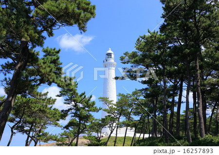 夏の日御碕灯台 夏の日御碕灯台 16257893