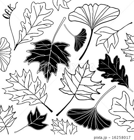 autumn leaf hand drawn doodle illustration autumn leaf hand drawn doodle illustration 16258017