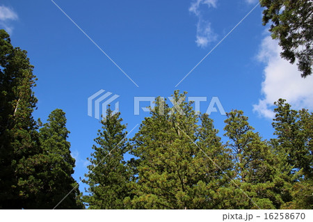 杉並に青空 16258670
