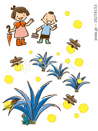 a fireflya glowfly 16259153