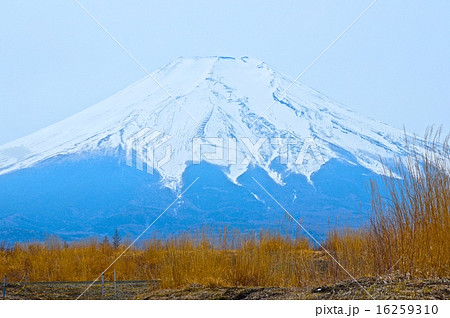 富士山（北富士演習場／山梨県富士吉田市･山中湖村･忍野村） 16259310
