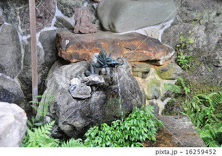 善峯寺 白山名水 善峯寺 白山名水 16259452