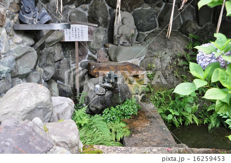 善峯寺　白山名水 16259453