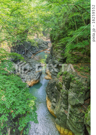 鹿飛橋からみた夏の吾妻渓谷の風景 16259552