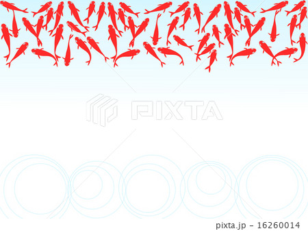 金魚と波紋 イラスト 素材のイラスト素材