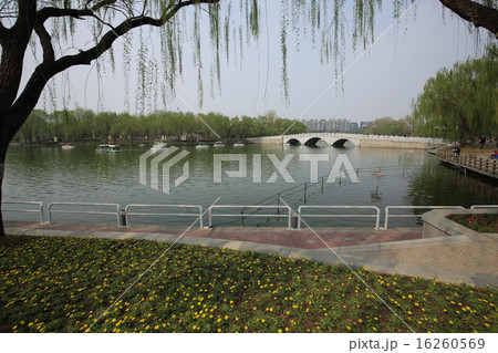 北京 陶然亭公園 16260569