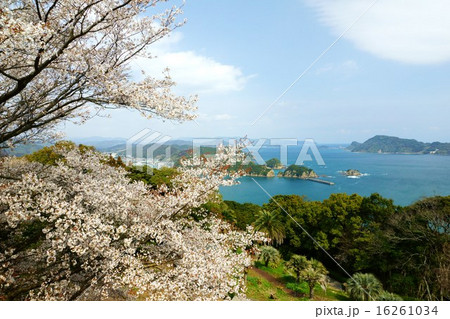 南郷町のヤマザクラ 南郷町のヤマザクラ 16261034