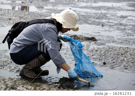 潮干狩りに夢中になる女性 16261231