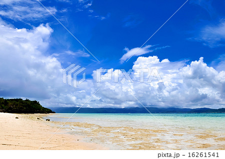 瑠璃の島Ⅱ 16261541