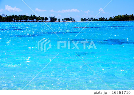 フランス領ポリネシア　ランギロアのブルーラゴン４ 16261710