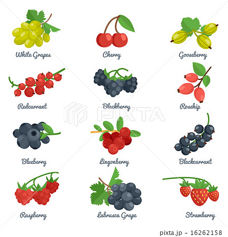 Berries Flat Icons Set Berries Flat Icons Set 16262158