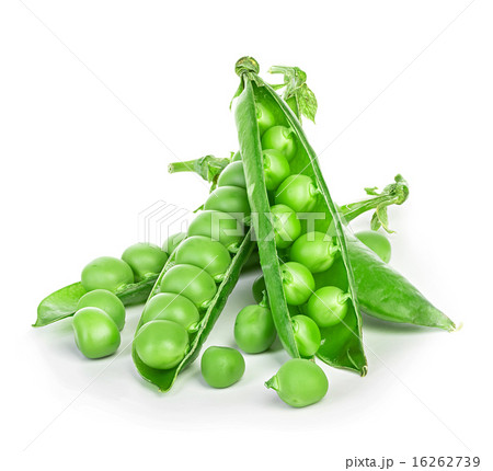 Fresh green peas pods isolated on white background Fresh green peas pods isolated on white background 16262739