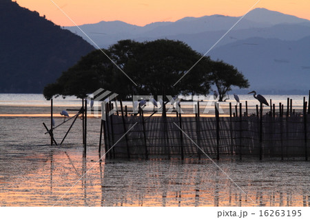 琵琶湖夏の夕景 16263195