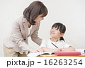 勉強する女の子と先生 16263254
