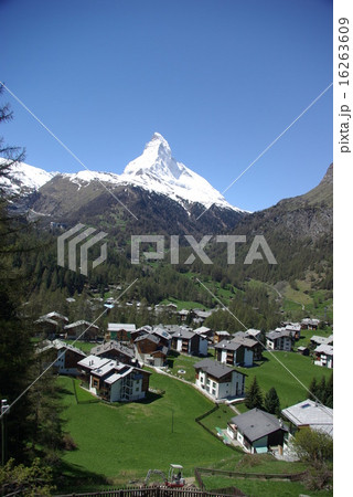 新緑とマッターホルン 16263609