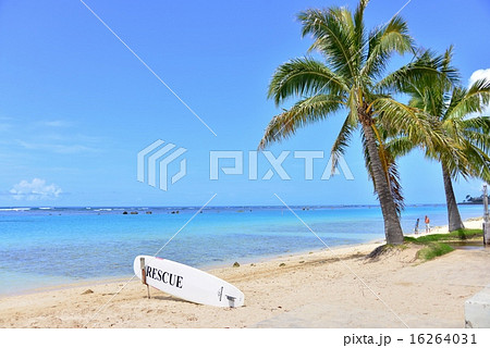 ハワイの休日 16264031