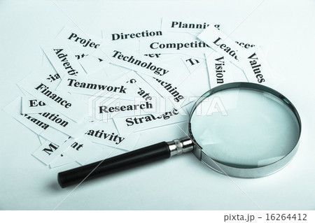 Business vision 16264412