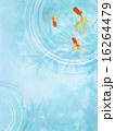 和の背景-金魚 16264479