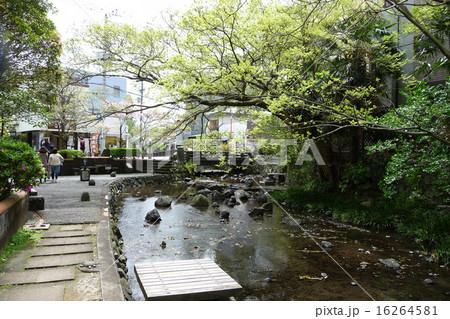 三島市にて 16264581