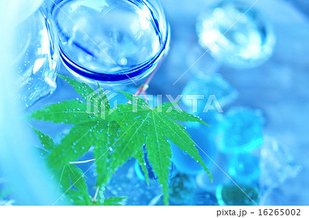 涼（ガラスの浮き玉と青もみじ） 16265002