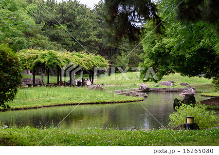 鶴林寺公園の池の様子 16265080