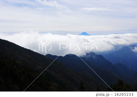 甲武信ヶ岳より富士山を臨む 16265233