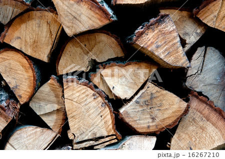 firewood firewood 16267210